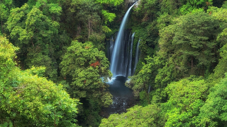 North Lombok: Sendang Gile Waterfall & Senaru Village Tour