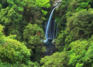 North Lombok: Sendang Gile Waterfall & Senaru Village Tour